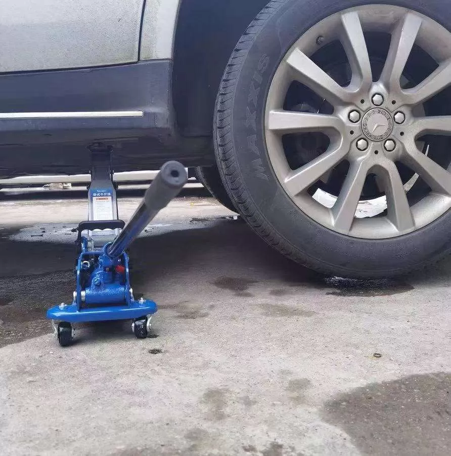 Kích cá sấu 3 tấn