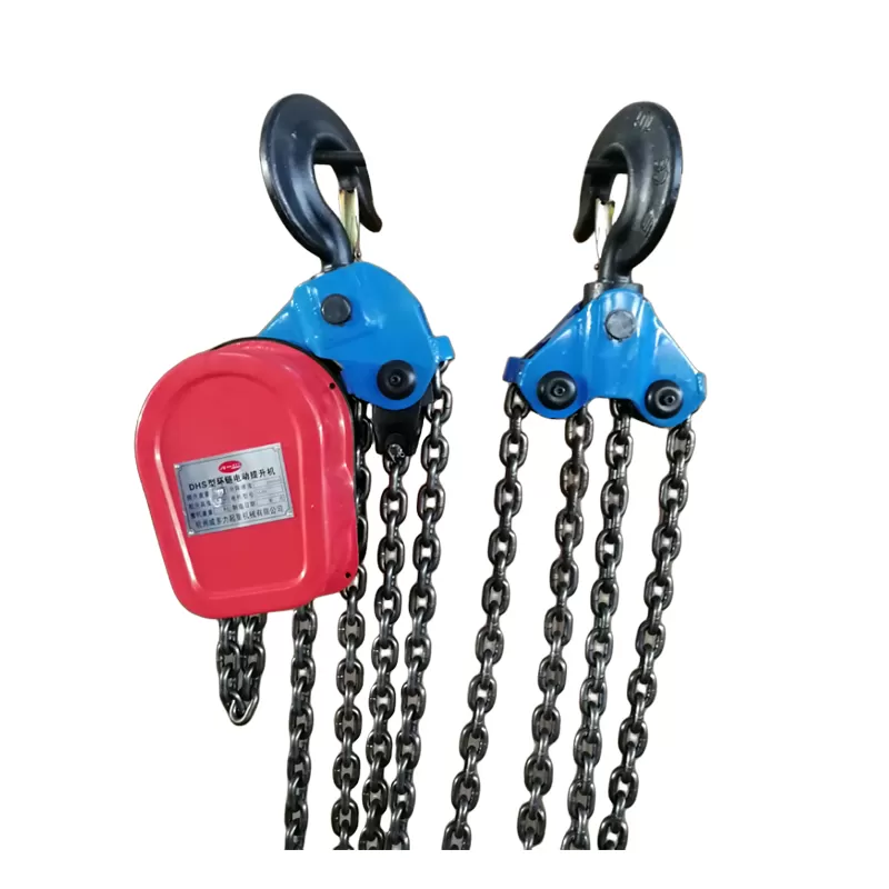 Palang xích điện DHS 220V 3Tx6m