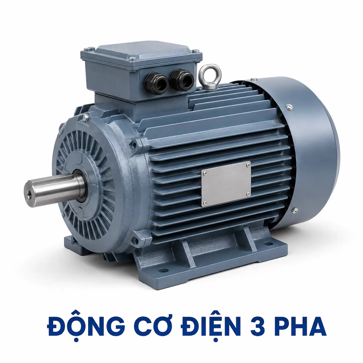ĐỘNG CƠ ĐIỆN 3 PHA
