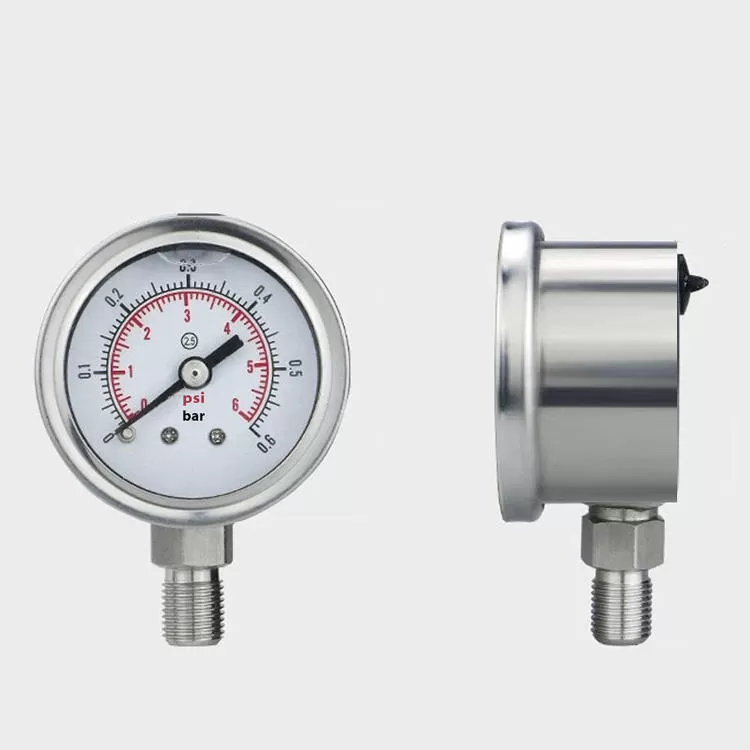 ĐỒNG HỒ ÁP SUẤT CHÂN SAU P254 100B 60BAR